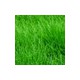 Comstor DesignCover - Gras