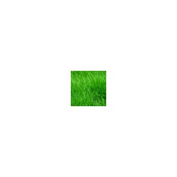 Comstor DesignCover - Gras