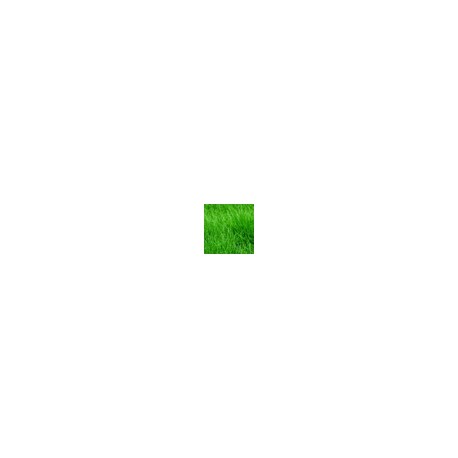 Comstor DesignCover - Gras