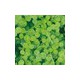 Comstor DesignCover - Klee