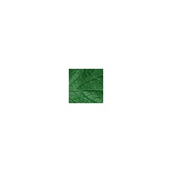 Comstor DesignCover - Blatt